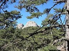 Le mont Tretorre.
