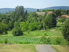Áta