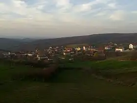 Čabić