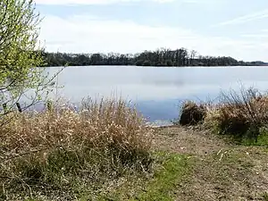 L'étang vu depuis le chemin des Canadis.