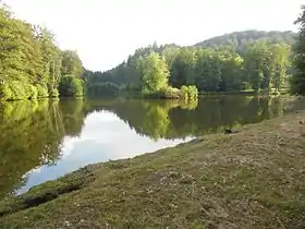 Étang du Loeschersbach.