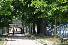 Allée des Cygnes.