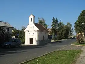 Úpohlavy