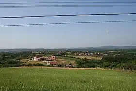 Ćukovine