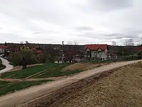 Ćurlina