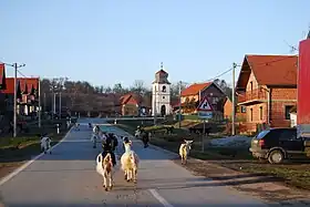Čeralije