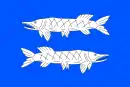 Drapeau de Čikov