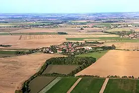 Čilec