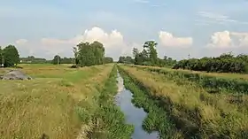Łózki