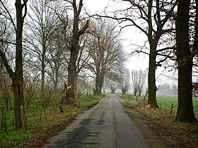 Łąków