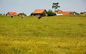 Ławki (Ryn)