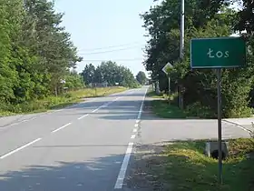 Łoś