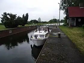Pianówka