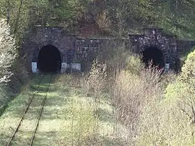 Świerki (Basse-Silésie)