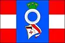 Drapeau de Šelešovice