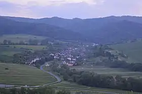 Šiba