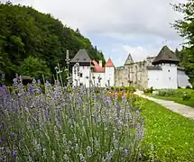 Chartreuse de Žiče du jardin d'herbes monastique