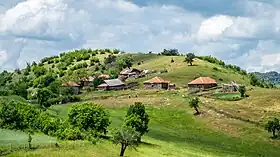 Sekoulitsa
