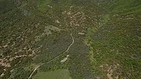 Ayranli