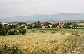 Bounardjik