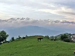 Vue du côté du village de Vaghouas.