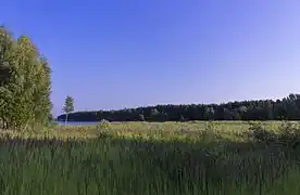 Prairie dans la forêt de Smolensk.