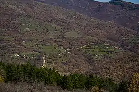 Malotino