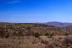 Arbanachko