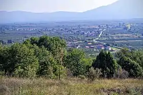 Volkoderi