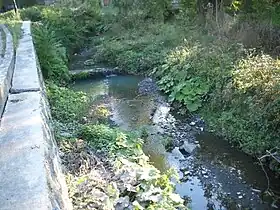 Grošnica