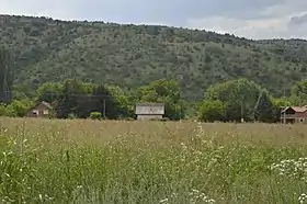 Vitantsi