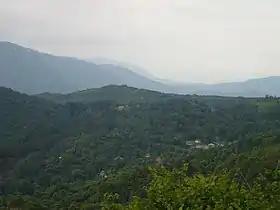 Drenok (Struga)