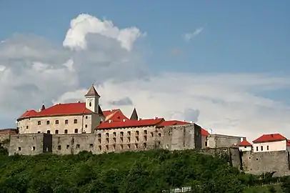 Château de Palanok.