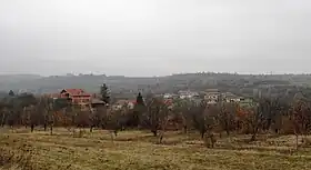 Ivanje (Bojnik)