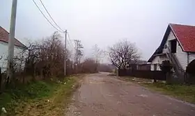 Kršna Glava