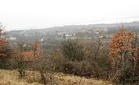 Lozane