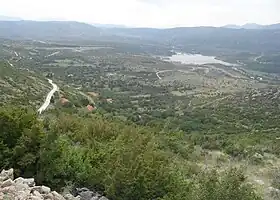 Muškovci