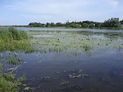 zone inondable.