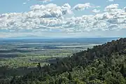 Forêts de pins de Sibérie et de feuillus de Khekhtsir.