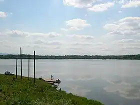 Paljuvi