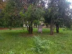 Le parc classé,