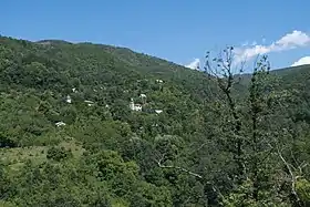 Seltsi