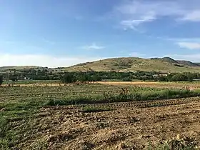 Brod (Novatsi)