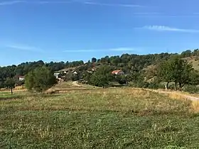 Doulitsa