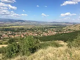 Zrnovci