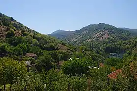 Konopichté