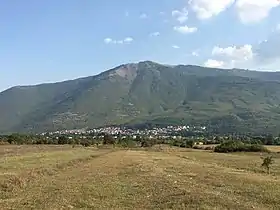 Lisitchani
