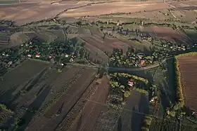 Novoselyané