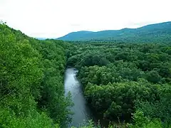 Rivière Pavlovka.