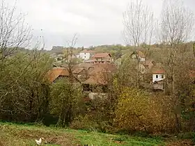 Rujište (Ražanj)